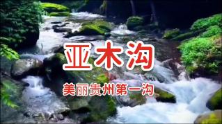 桃花侠守卫战